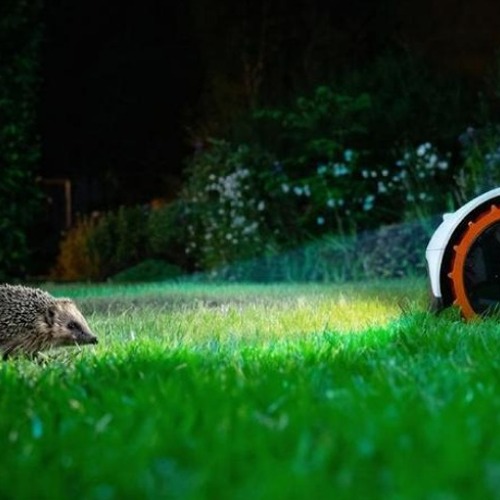 Aktueller Hinweis zum Mähroboter-Einsatz: Bitte schützt unsere Igel!