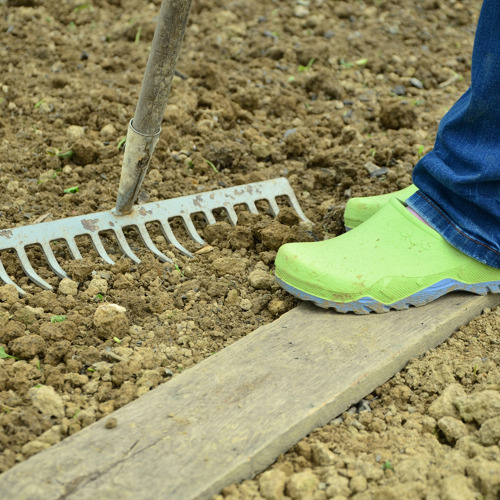 Moderne Gartenarbeit: Werkzeuge, Techniken und Innovationen für grüne Daumen