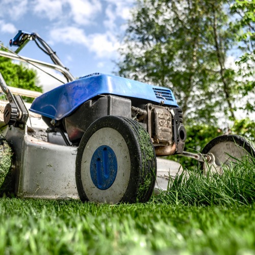 Garten- und Gemeinschaftsgestaltung: Schaffung lebendiger grüner Oasen